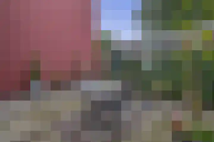 Het Rak 11 Muntendam thumbnail 31