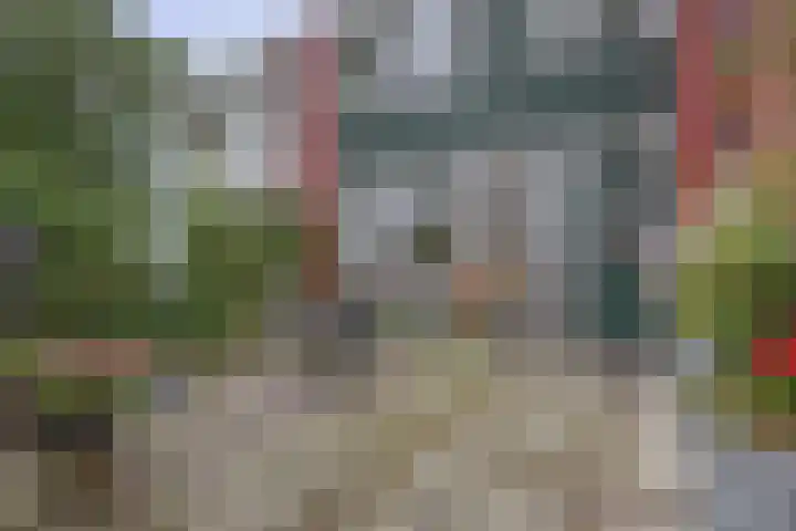 Het Rak 11 Muntendam thumbnail 32