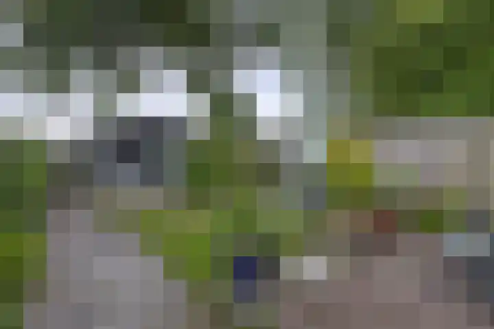 Het Rak 11 Muntendam thumbnail 33