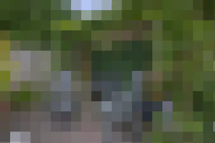 Het Rak 11 Muntendam thumbnail 35