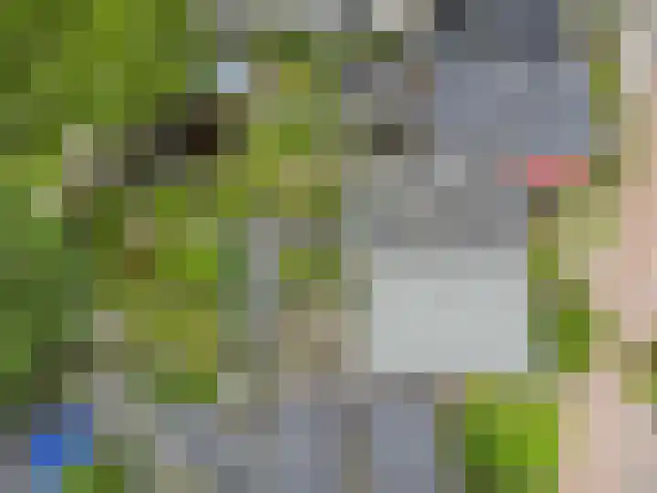 Het Rak 11 Muntendam thumbnail 36