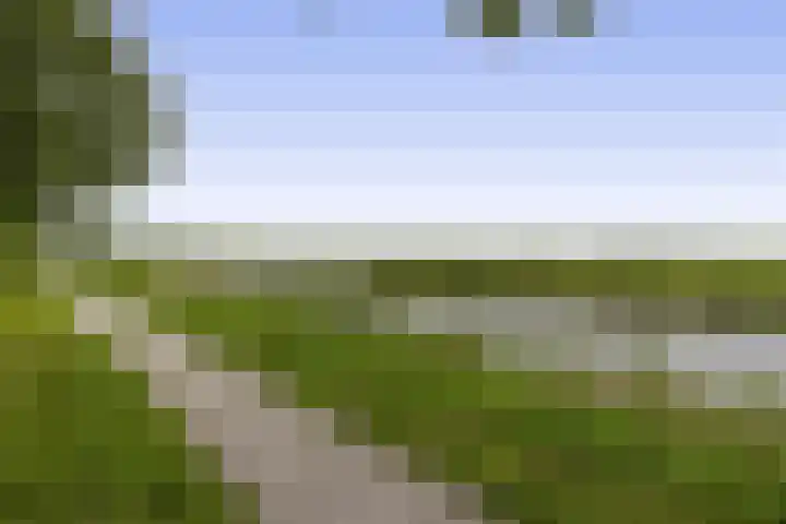 Het Rak 11 Muntendam thumbnail 38