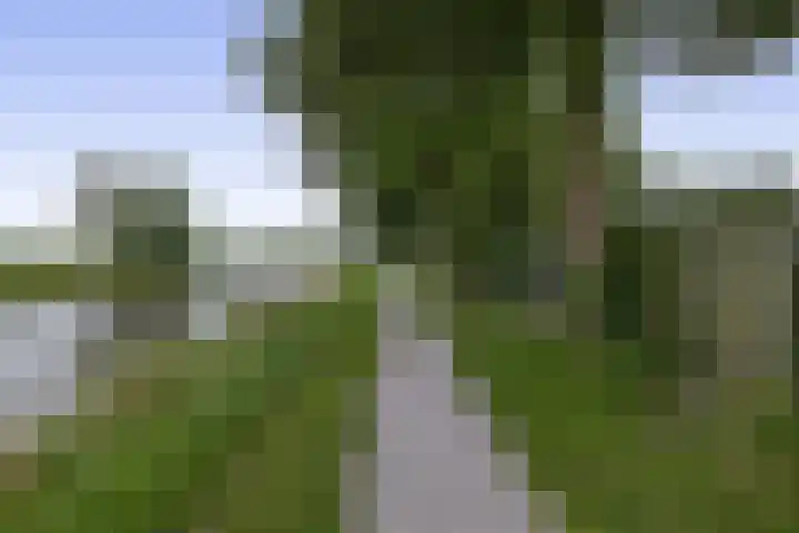 Het Rak 11 Muntendam thumbnail 39