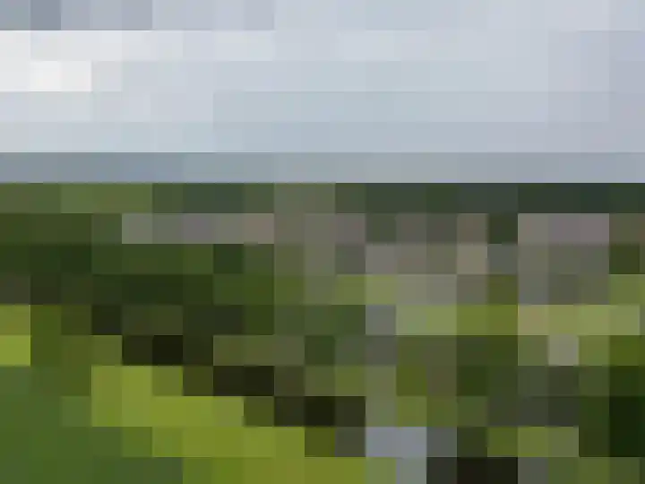 Het Rak 11 Muntendam thumbnail 40