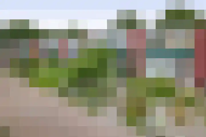 Het Rak 11 Muntendam thumbnail 8
