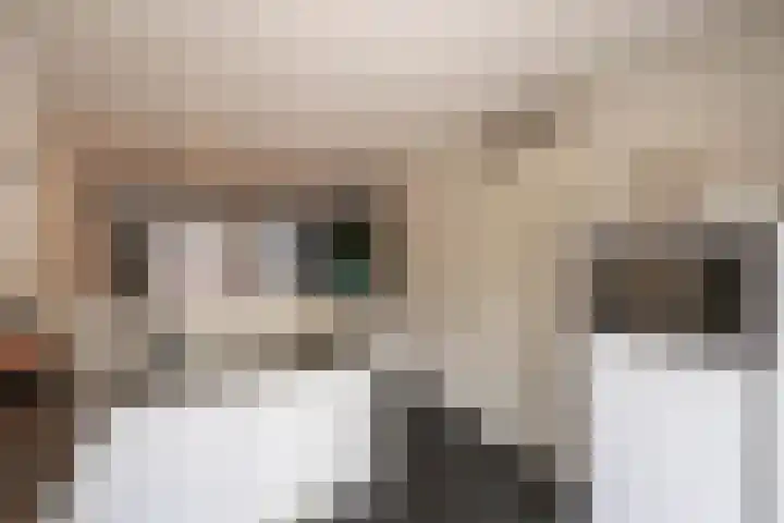 Het Reut 216 Berghem thumbnail 12