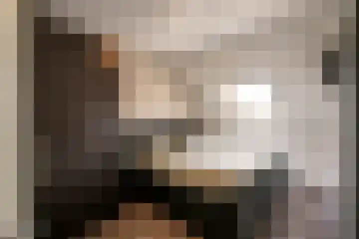 Het Reut 216 Berghem thumbnail 13