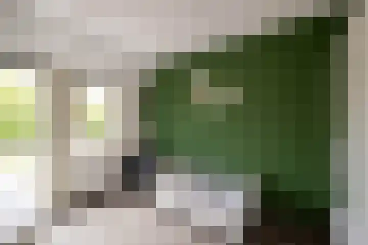Het Reut 216 Berghem thumbnail 14