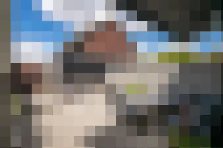 Het Reut 216 Berghem thumbnail 20