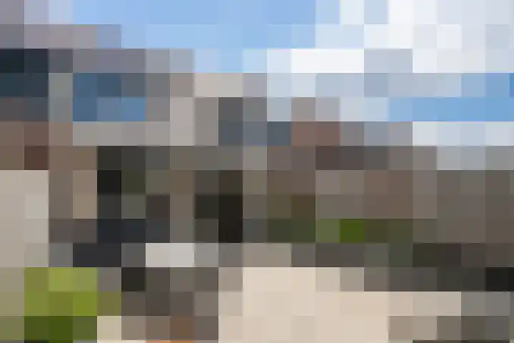 Het Reut 216 Berghem thumbnail 22