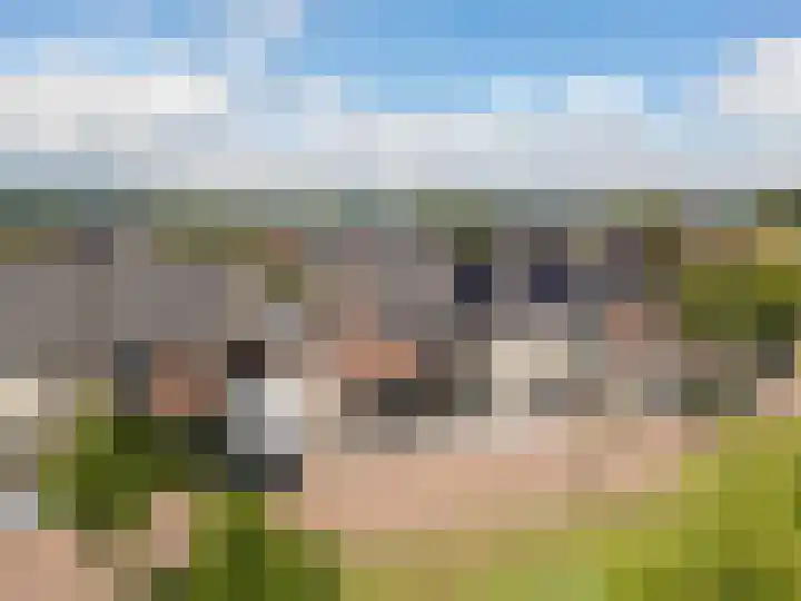 Het Reut 216 Berghem thumbnail 27
