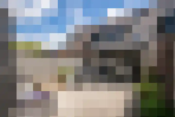 Het Reut 216 Berghem thumbnail 4