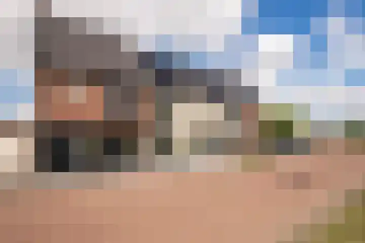 Het Reut 216 Berghem thumbnail 5