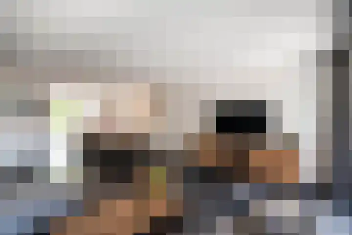 Het Reut 216 Berghem thumbnail 9