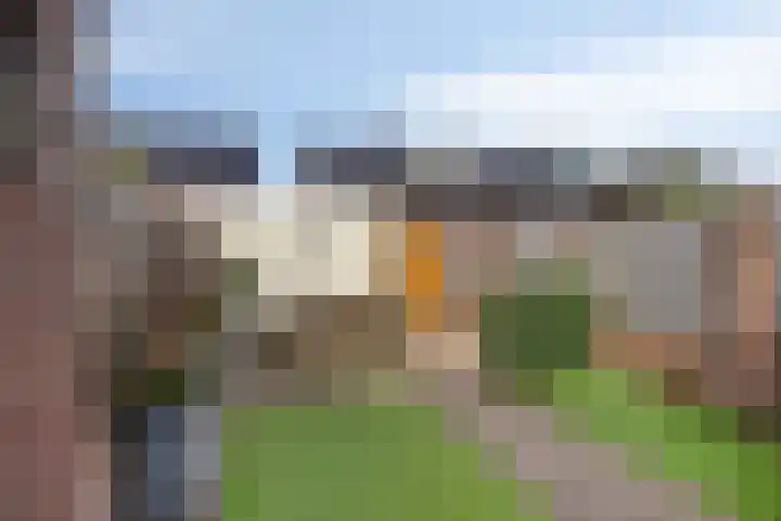 Het Reut 416 Berghem thumbnail 21