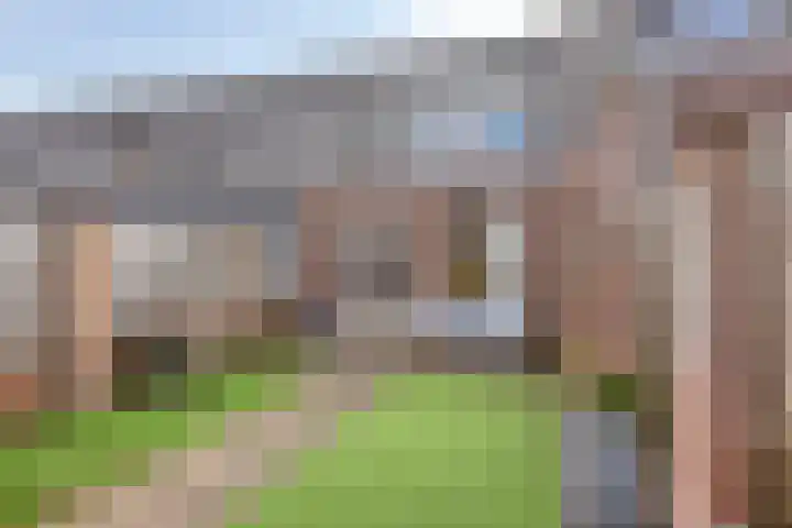 Het Reut 416 Berghem thumbnail 22