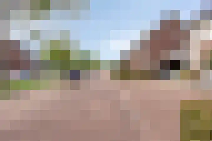 Het Reut 416 Berghem thumbnail 24