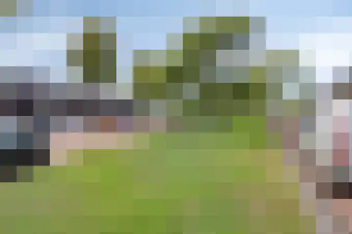 Het Reut 416 Berghem thumbnail 25