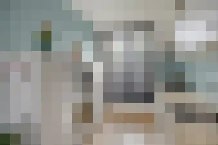 Het Reut 416 Berghem thumbnail 4
