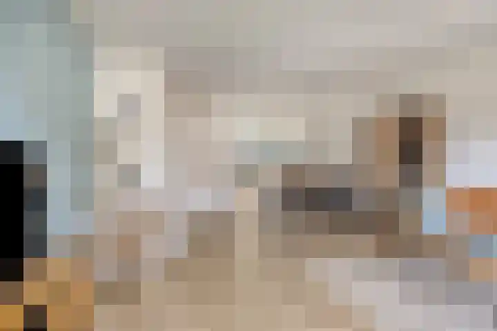 Het Reut 416 Berghem thumbnail 7