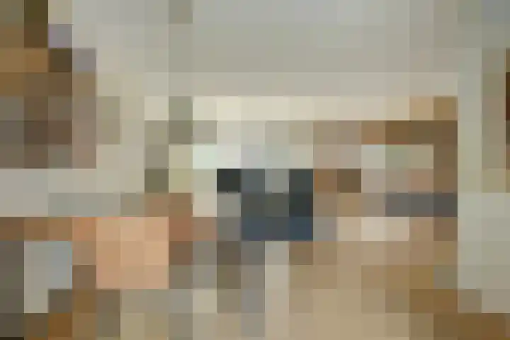 Het Rijpaard 30 Dronten thumbnail 10