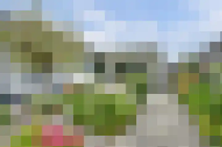 Het Rijpaard 30 Dronten thumbnail 27
