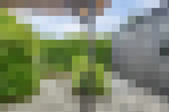 Het Rijpaard 30 Dronten thumbnail 31
