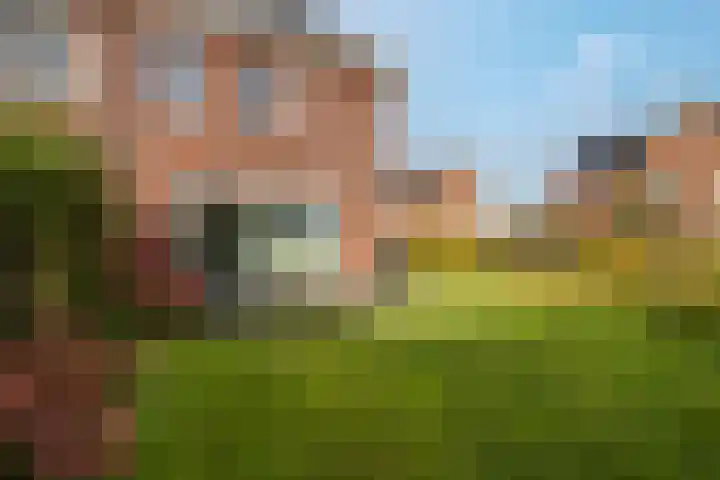 Het Rinket 25 Meerstad thumbnail 19