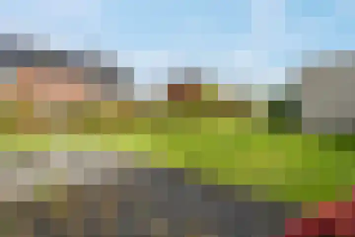 Het Rinket 25 Meerstad thumbnail 20