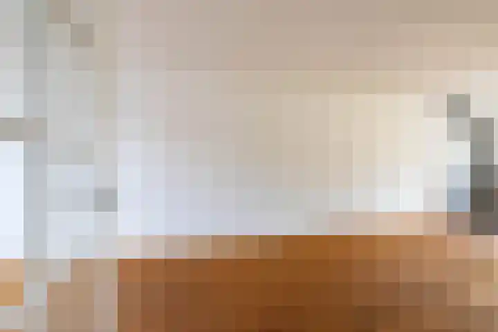 Het Rocht 20 Vries thumbnail 12