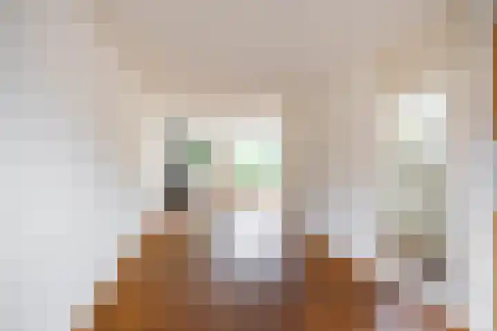 Het Rocht 20 Vries thumbnail 13