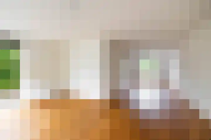 Het Rocht 20 Vries thumbnail 18