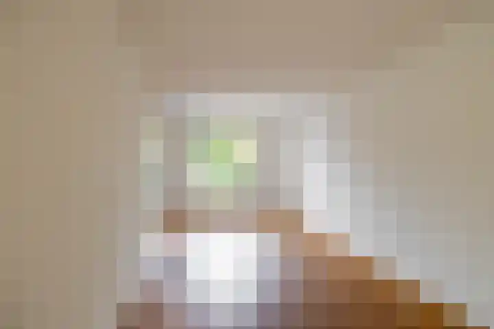 Het Rocht 20 Vries thumbnail 19