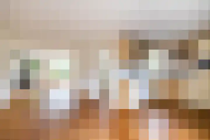 Het Rocht 20 Vries thumbnail 20