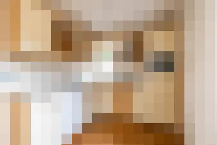 Het Rocht 20 Vries thumbnail 22