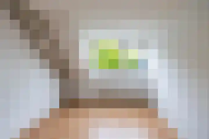 Het Rocht 20 Vries thumbnail 33