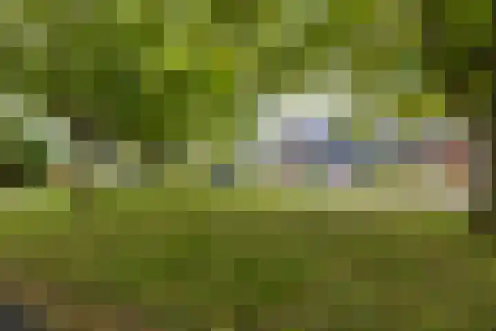 Het Rocht 20 Vries thumbnail 47