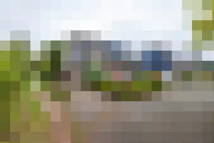 Het Rocht 20 Vries thumbnail 49
