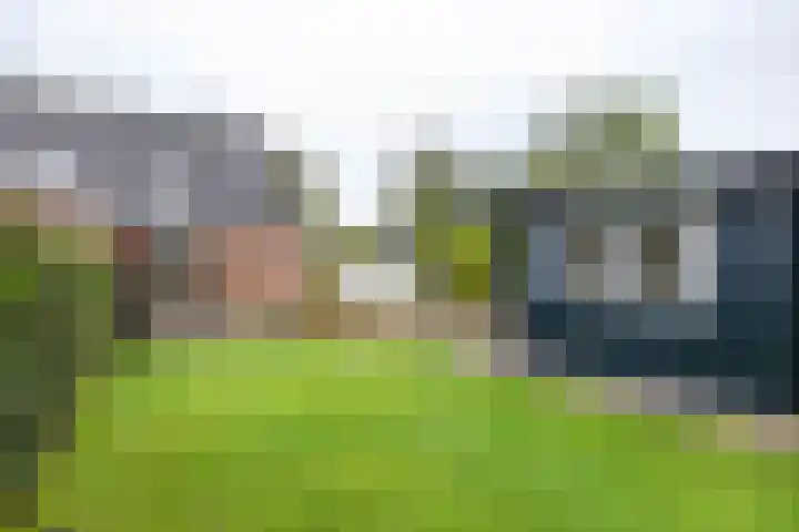 Het Rocht 20 Vries thumbnail 5