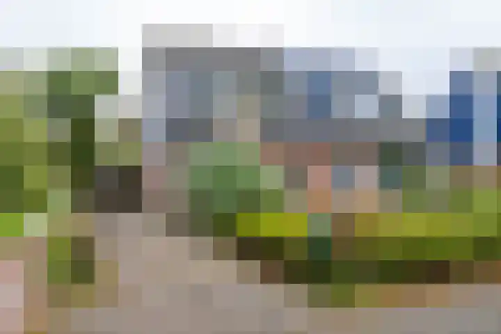 Het Rocht 20 Vries thumbnail 6