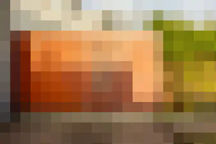 Het Roege Bos 30 Groningen thumbnail 20