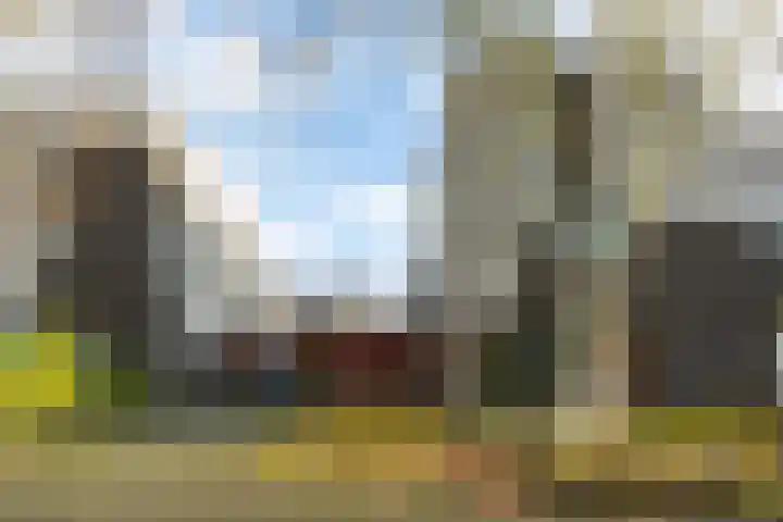 Het Roege Bos 30 Groningen thumbnail 4