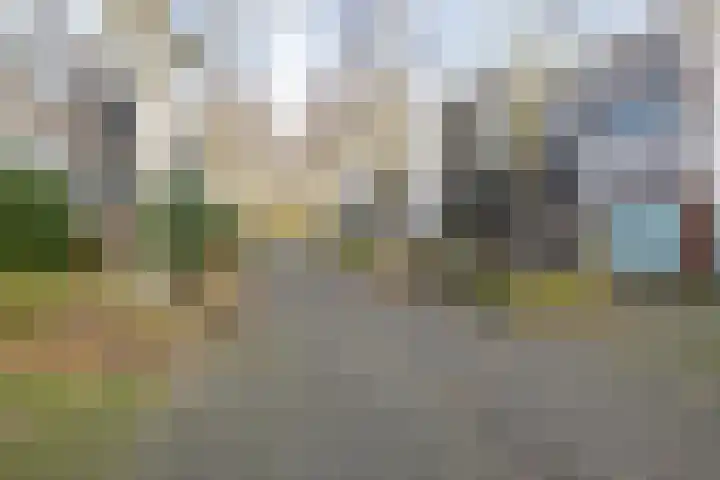 Het Roege Bos 30 Groningen thumbnail 42