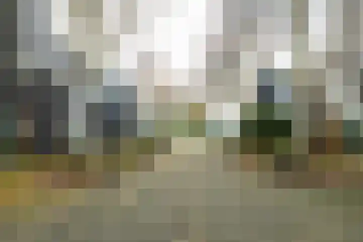 Het Roege Bos 30 Groningen thumbnail 45