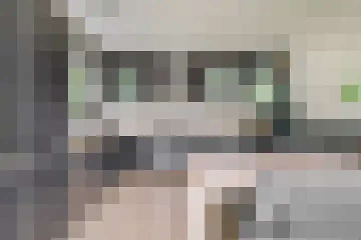 Het Roege Pad 3 Groningen thumbnail 13