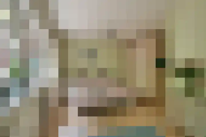 Het Roege Pad 3 Groningen thumbnail 17