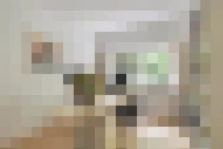 Het Roege Pad 3 Groningen thumbnail 23