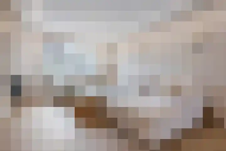 Het Roege Pad 3 Groningen thumbnail 24