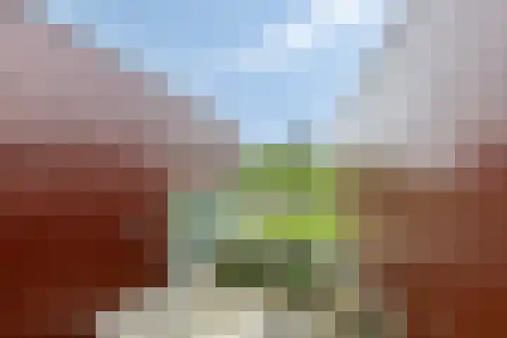 Het Roege Pad 3 Groningen thumbnail 24