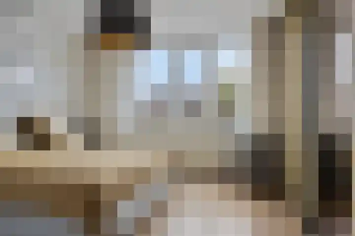 Het Roege Pad 3 Groningen thumbnail 29